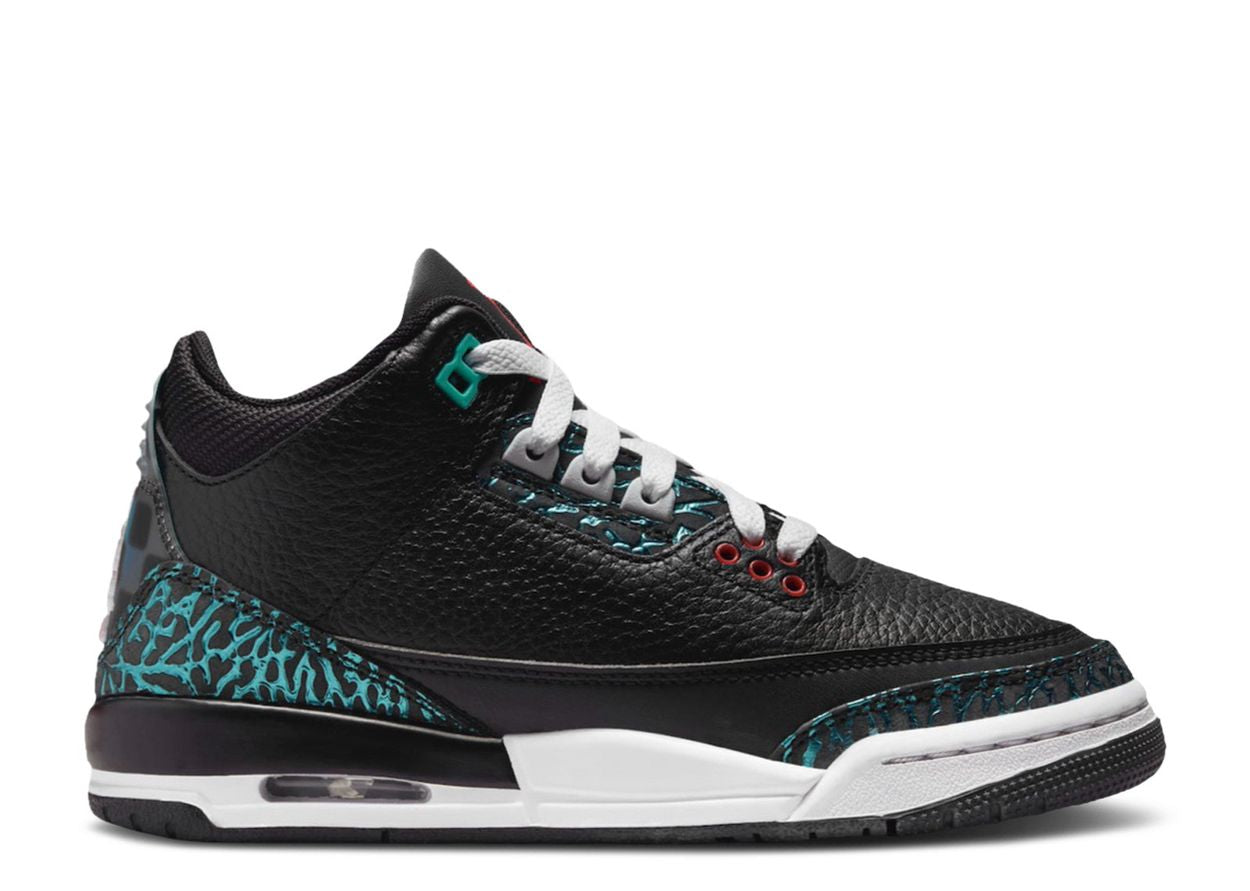 Jordan 3 Retro SE
Moto (GS)