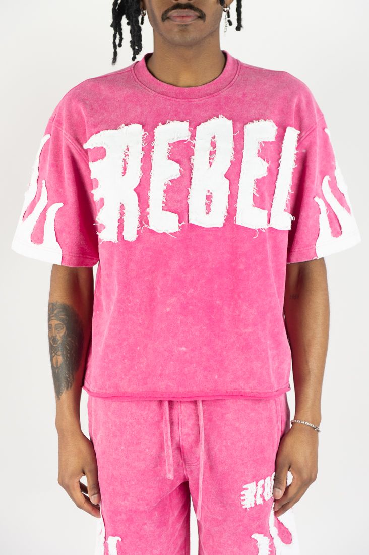 Rebel Mind Pink Flame Crop Top