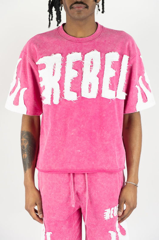 Rebel Mind Pink Flame Crop Top