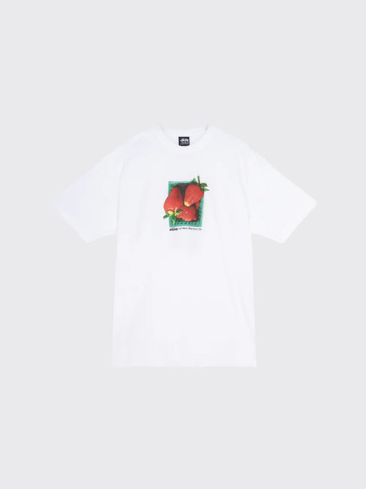 Stussy shirt Berry Tee shirt